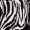 Black Zebra Print Satin Long PJ Set