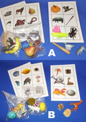 Complete Set Picture Object Matching