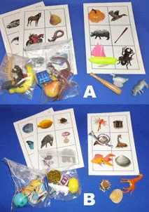 Complete Set Picture Object Matching