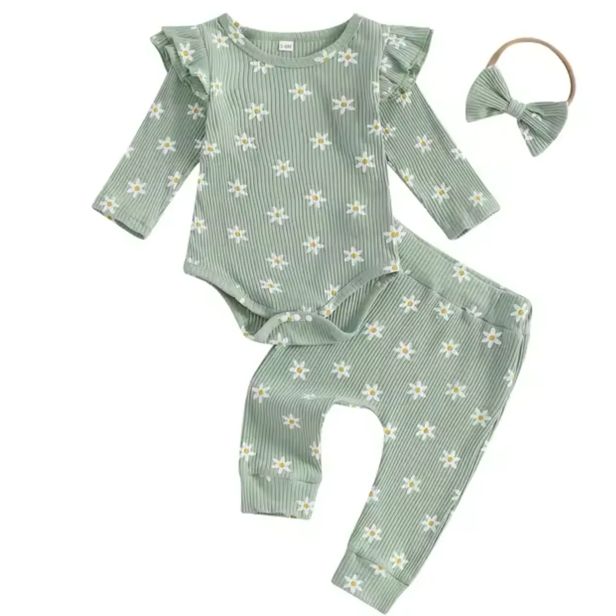 Fall Daisy - Green
