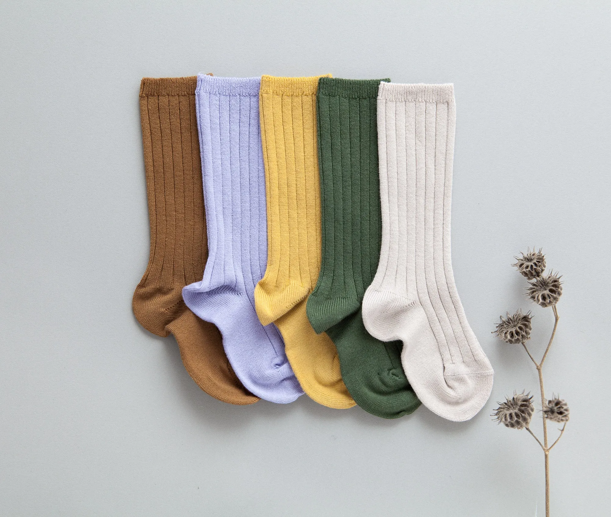 Fall Ribbed Knee Socks Bundle