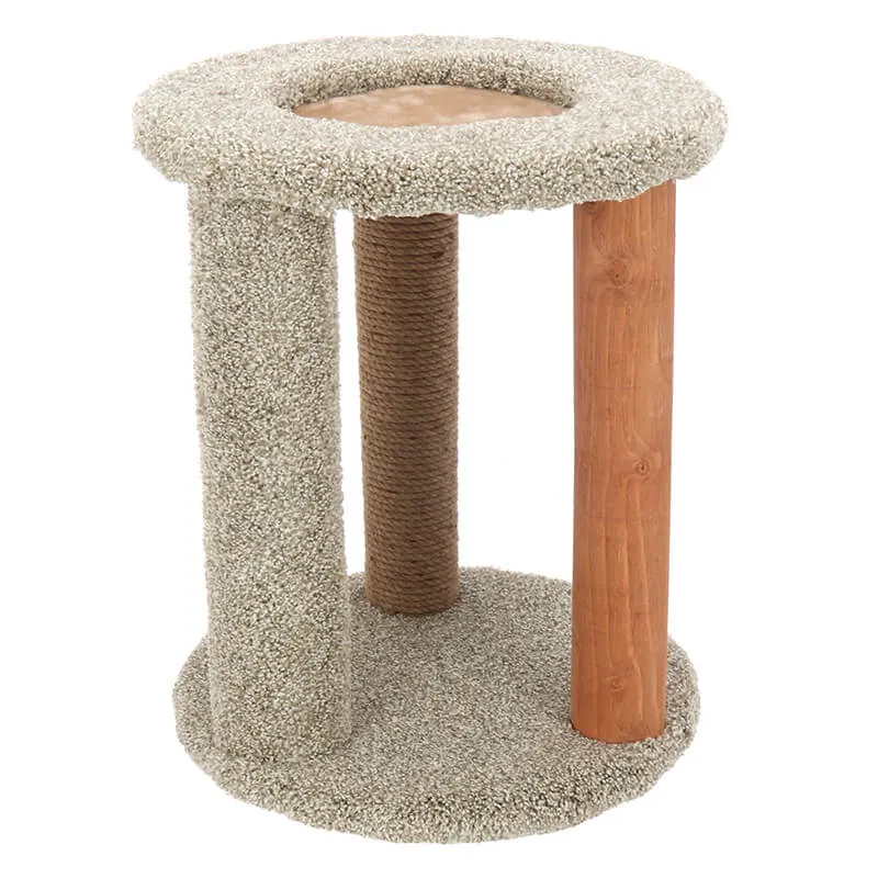 Kitty Carpet Playground-N-Lounge