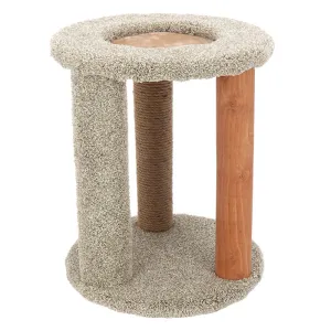 Kitty Carpet Playground-N-Lounge