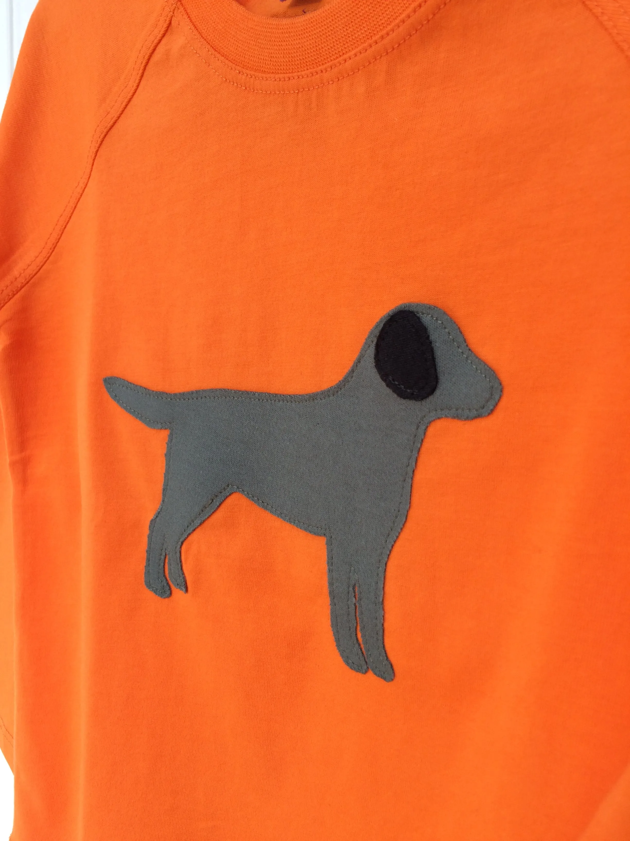 Labrador – Long Sleeved T-shirt - Orange