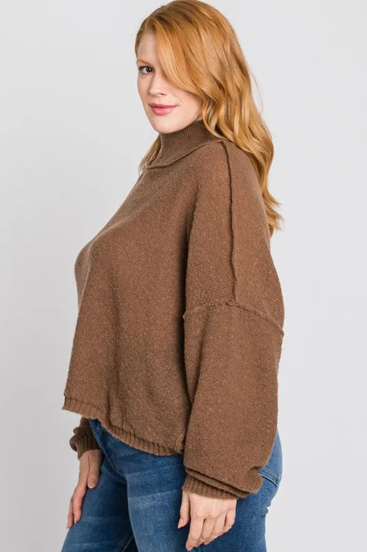 Mountain View Sweater: Brown