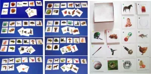 Picture Matching Complete Set