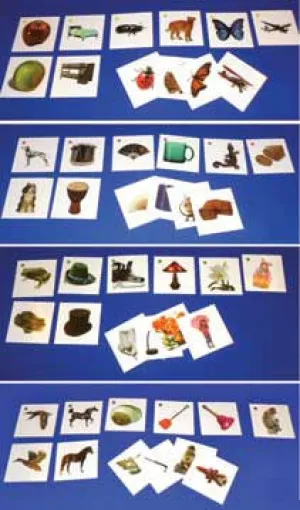 Picture Matching Set B - Similar Match
