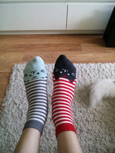 Quality Striped Pattern Cotton Cat Socks
