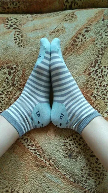 Quality Striped Pattern Cotton Cat Socks
