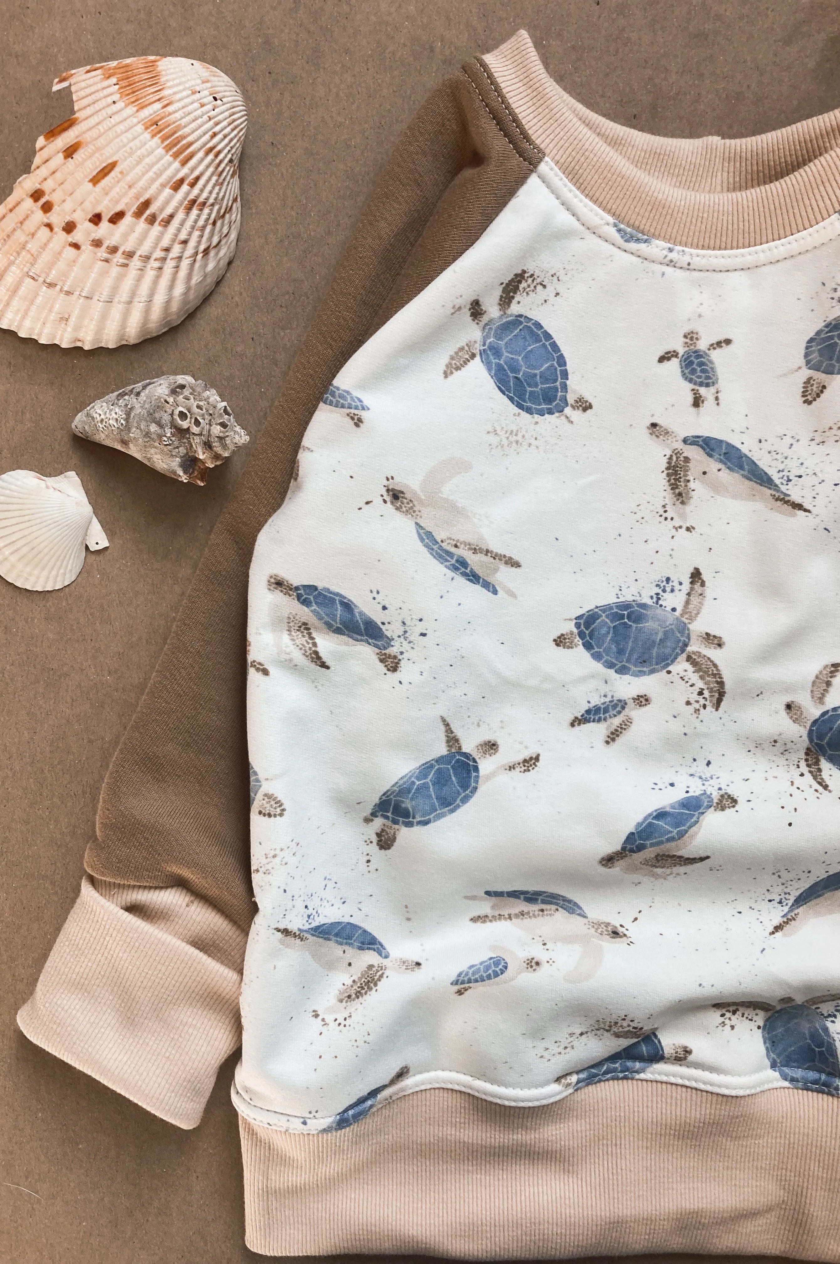 Sea Turtles Pullover