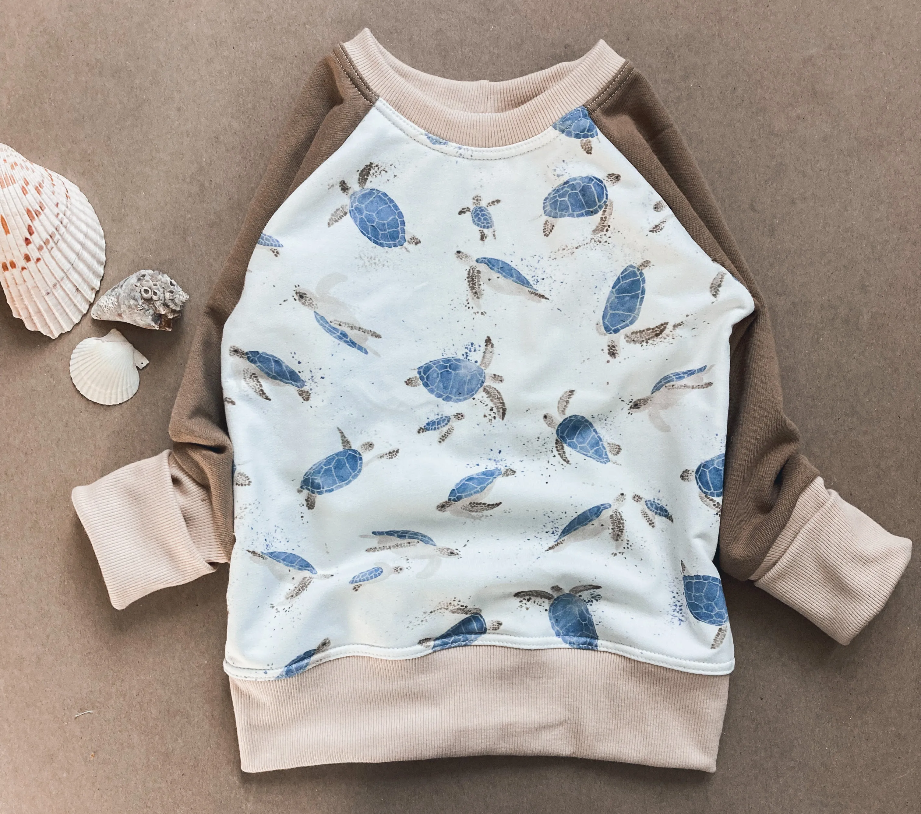 Sea Turtles Pullover