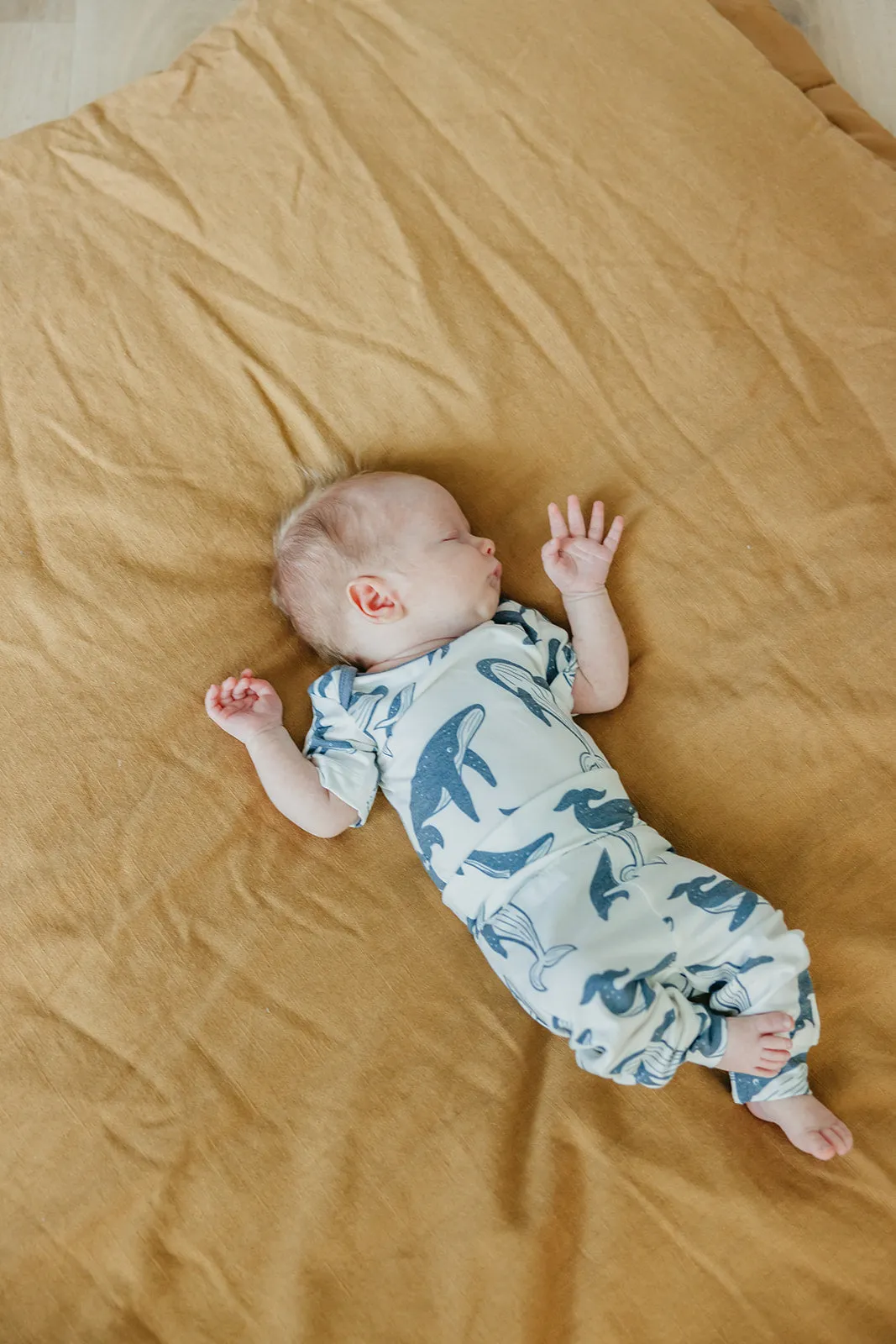 Short Sleeve Bodysuit - Cove
