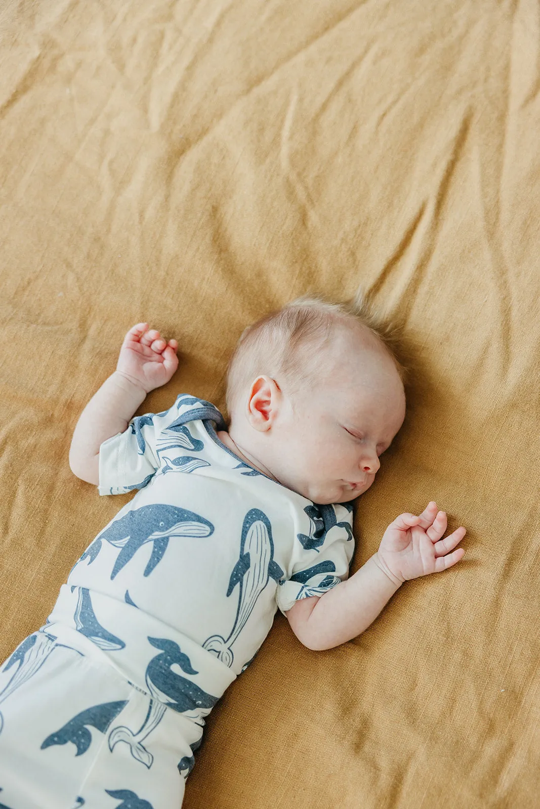 Short Sleeve Bodysuit - Cove