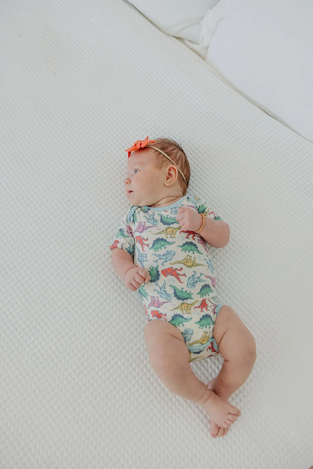 Short Sleeve Bodysuit - Dinosaurs of Jurassic Park