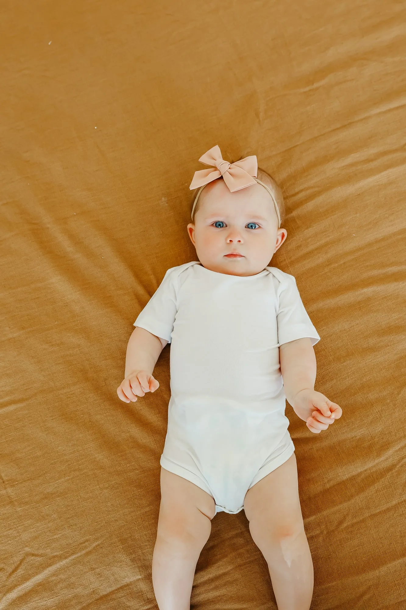 Short Sleeve Bodysuit - Dove