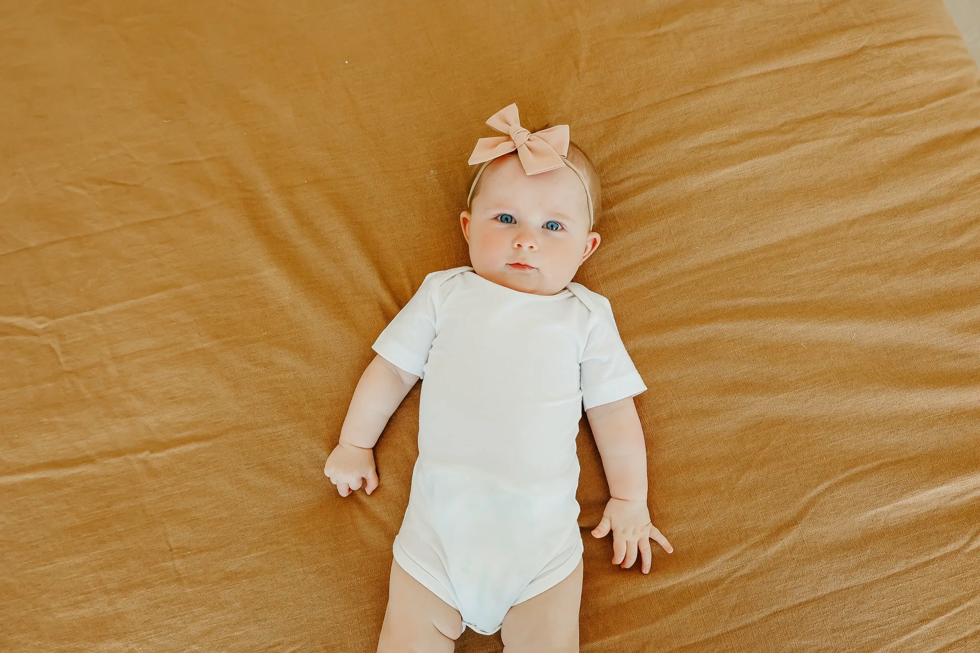 Short Sleeve Bodysuit - Dove