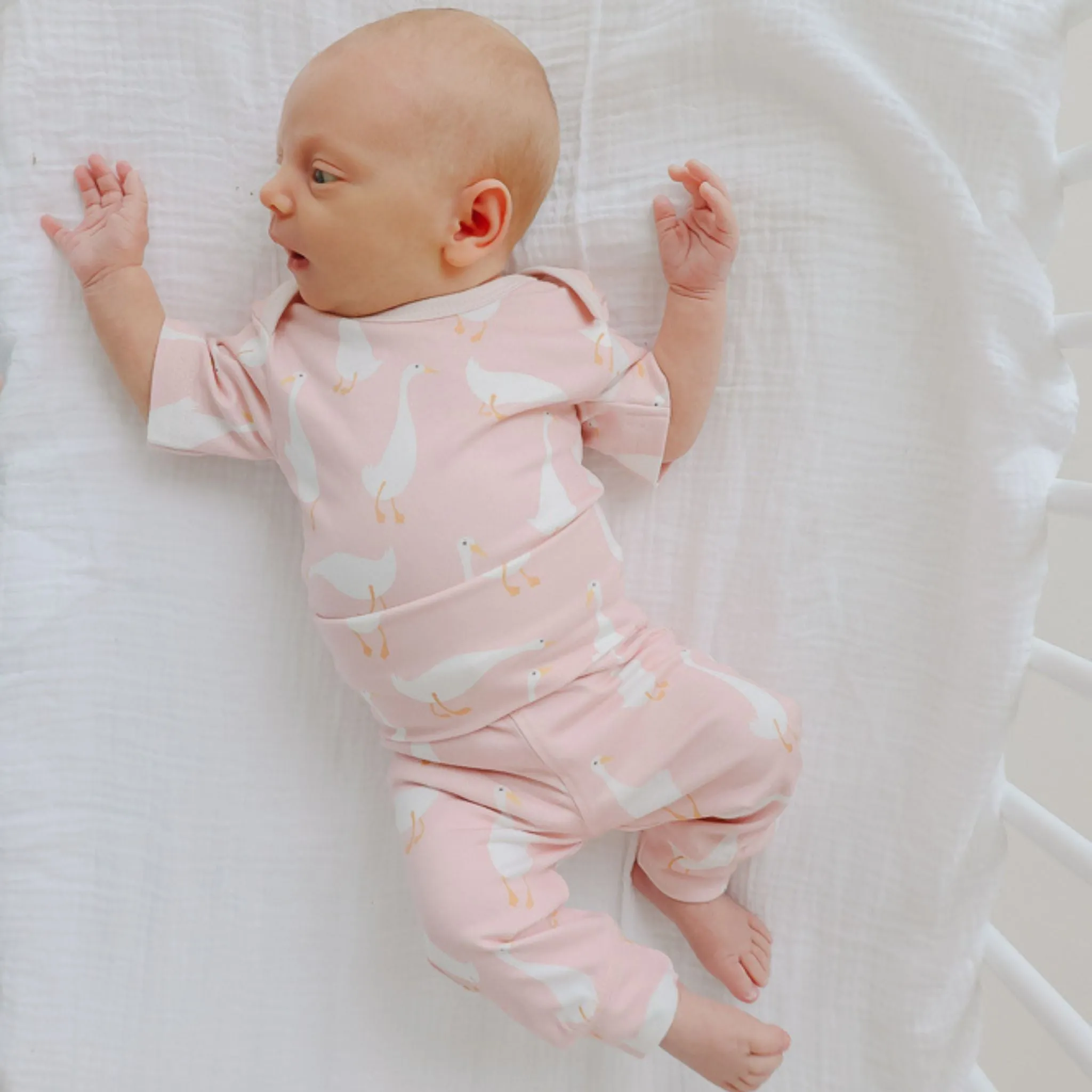 Short Sleeve Bodysuit - Goosie