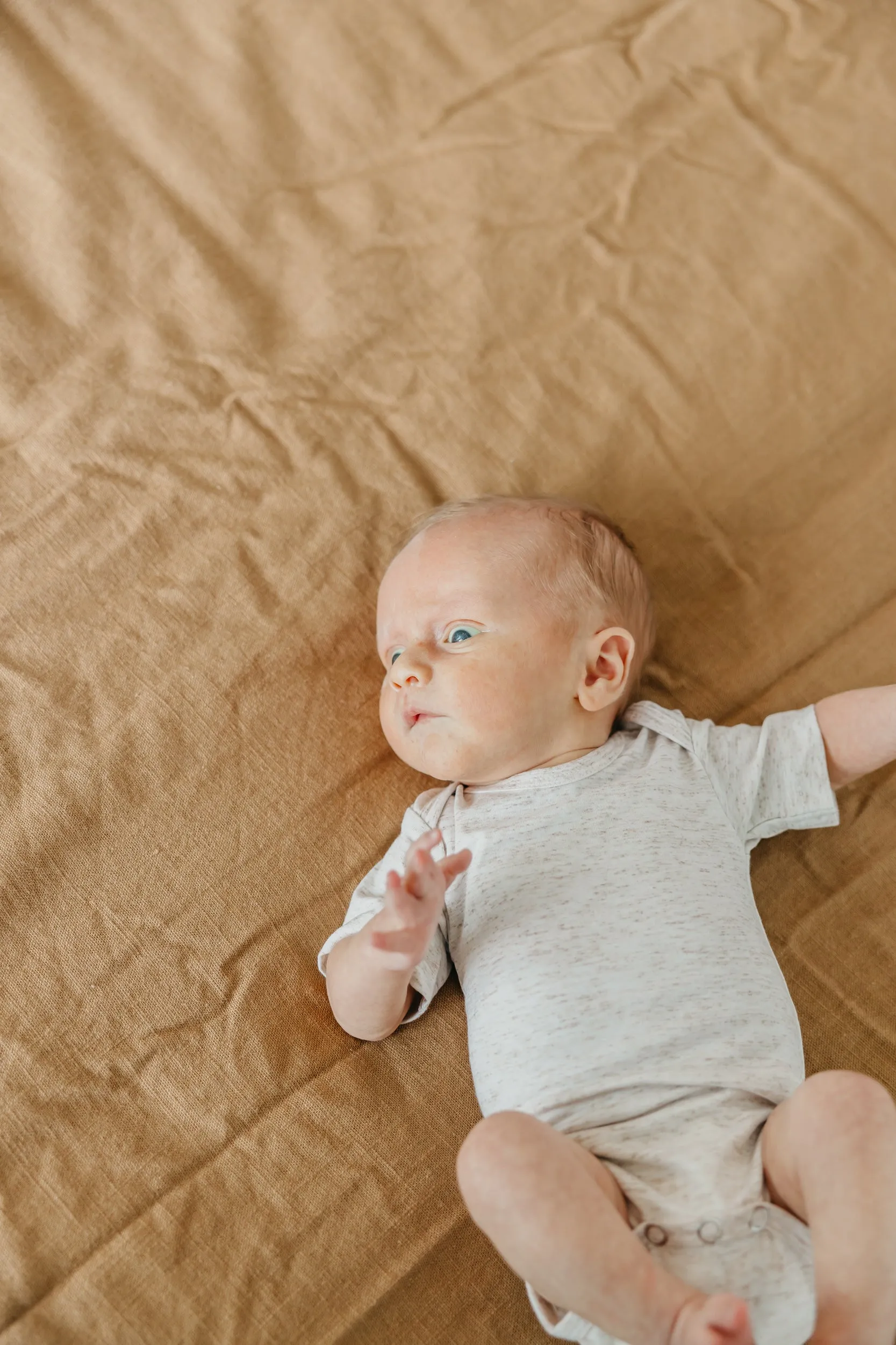 Short Sleeve Bodysuit - Oat