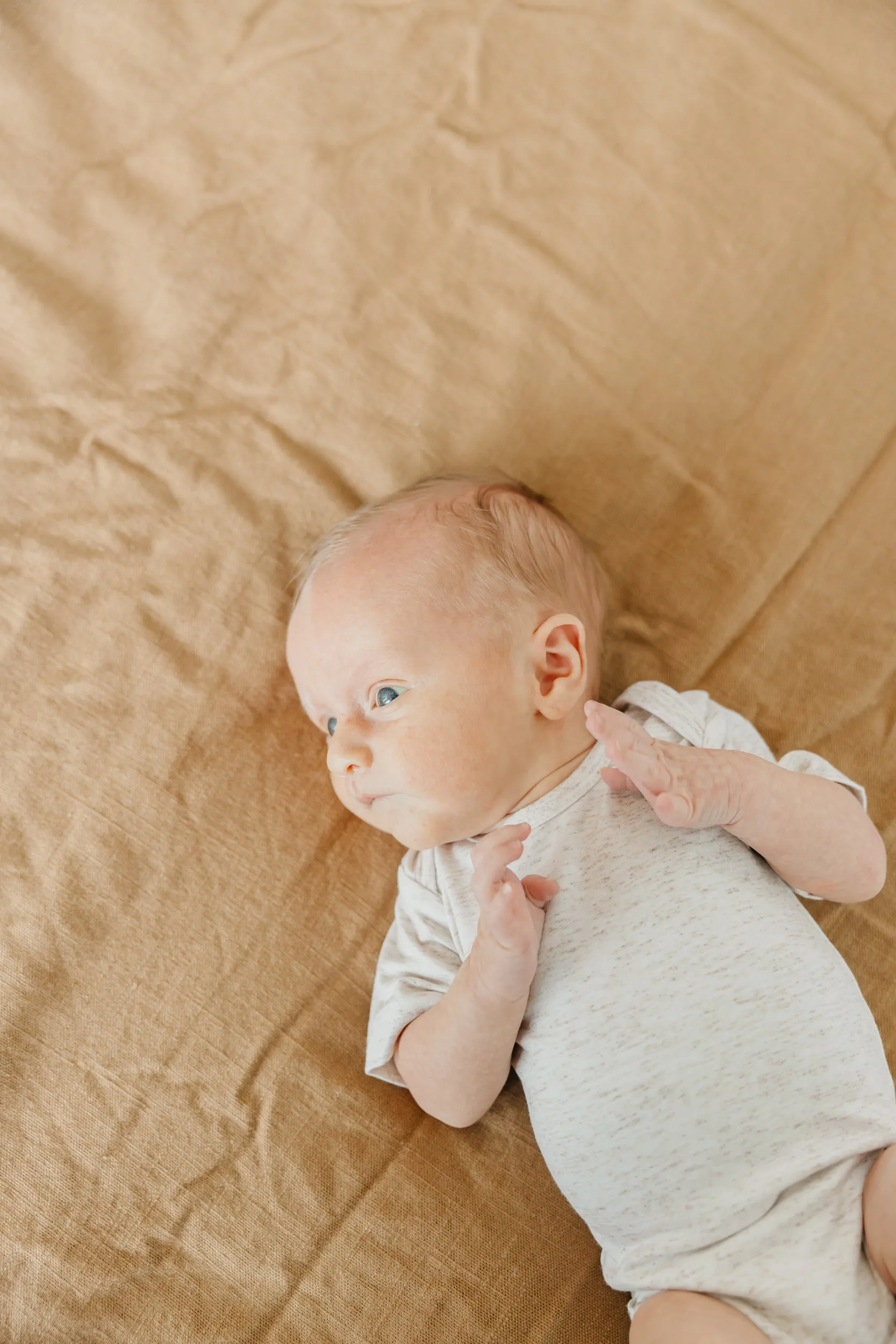 Short Sleeve Bodysuit - Oat