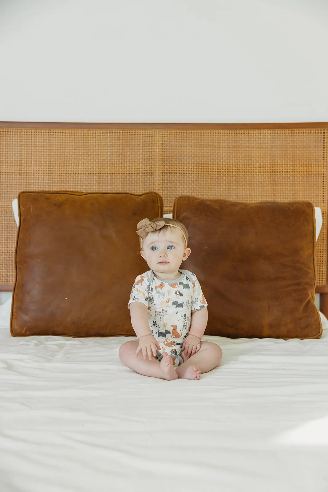 Short Sleeve Bodysuit - Rufus