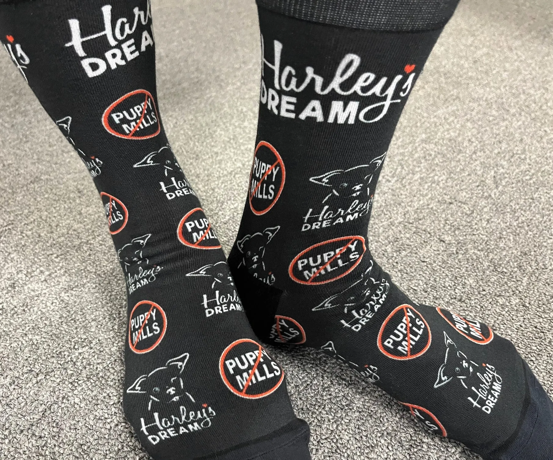 Socks - End Puppy Mills