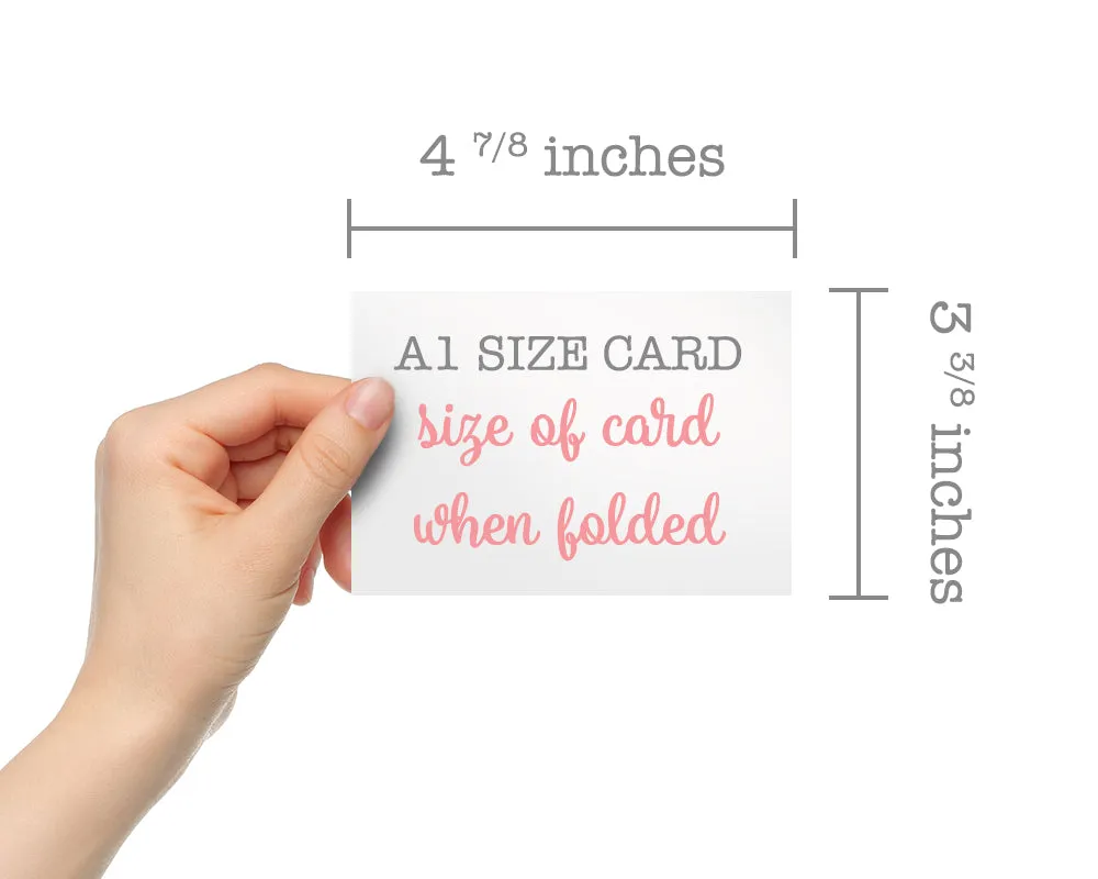 Summer Collection - 24 Thank You Cards & Envelopes with Seal Stickers