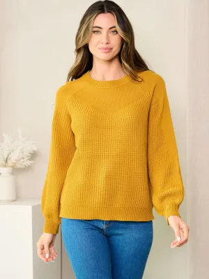 WOMEN'S LONG BALLON SLEEVE SOLID KNIT SWEATER